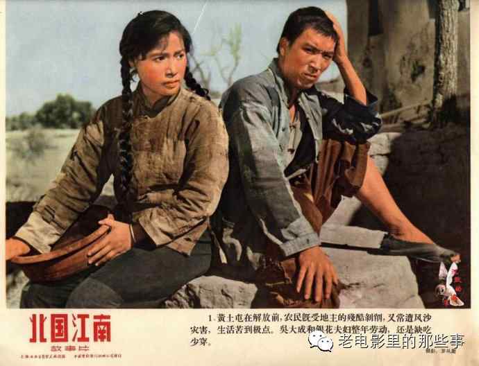 新西兰驾驶证样本怎么购买